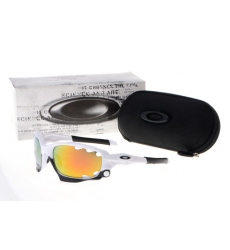 Oakley Glasses-0602