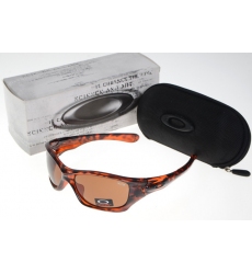 Oakley Glasses-1097