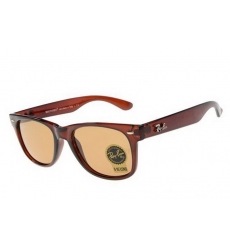Ray-ban Glasses-1249