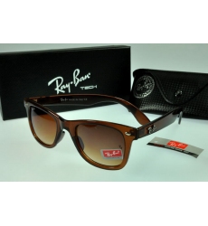 Ray-ban Glasses-1454